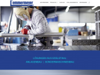 lemmermeyer.net Webseite Vorschau