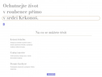 klepacek.cz Webseite Vorschau
