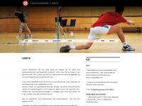 msnb-badminton.de Webseite Vorschau