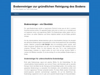bodenreiniger.info Webseite Vorschau