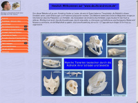 skulls-and-more.de Webseite Vorschau