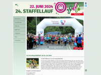 rennsteig-staffellauf.de Webseite Vorschau