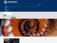 montphoto.com Webseite Vorschau