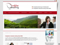 walcher-consulting.com