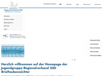 regionalverband250-jug.de Webseite Vorschau