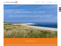 vonstruenk-consulting.de Webseite Vorschau