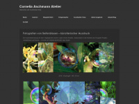 cornelia-aschmann-atelier.com Webseite Vorschau