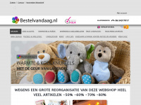 bestelvandaag.nl Webseite Vorschau