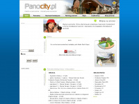 panocity.pl Webseite Vorschau