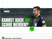 werdeschiri.ch Webseite Vorschau