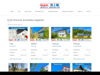 team-bim.de Webseite Vorschau