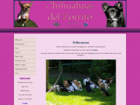 chihuahuazucht-del-zorrito.de Webseite Vorschau