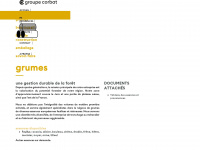 grumes-sciages-debits-emballages.ch Webseite Vorschau