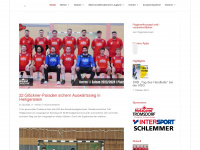handball-kaiserslautern.de Webseite Vorschau