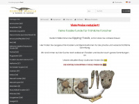 kipping-fossils.de Webseite Vorschau