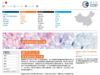 lucobit-china.com Webseite Vorschau