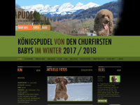 königspudel.ch Webseite Vorschau