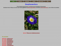 zierpflanzenflora.de Webseite Vorschau