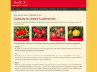 bayoz.de Webseite Vorschau