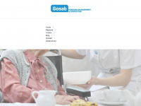 gosab-consulting.de Webseite Vorschau