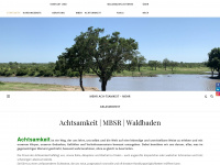 mbsr-ingolstadt.com Webseite Vorschau