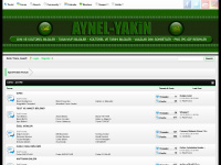 aynel-yakin.com Webseite Vorschau