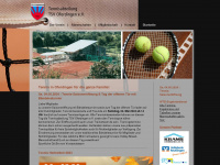 tennis-tsv-oferdingen.de Thumbnail