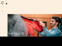 cheval-ami.fr Webseite Vorschau