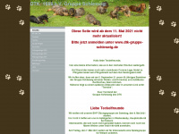 dtk-gruppeschleswig.jimdo.com Webseite Vorschau