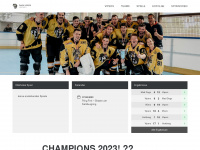 vipers-hockey.at Webseite Vorschau