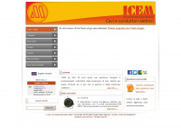 icemsnc.it Webseite Vorschau