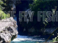 anieneflyfishing.com Webseite Vorschau