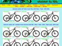 4ever-bike.ch Thumbnail