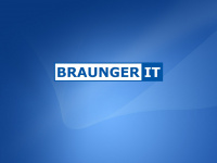 braunger.it Webseite Vorschau