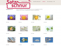 satzschnur.ch Webseite Vorschau