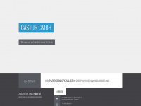 castur.ch Webseite Vorschau