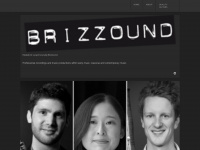 brizzound.se Webseite Vorschau