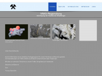 vfmg-regensburg.de Webseite Vorschau