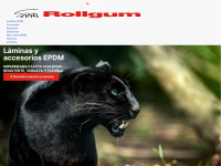 rollgum.com Webseite Vorschau