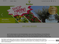reider.it Webseite Vorschau