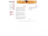 primaq.it Webseite Vorschau