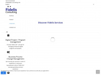 fidelis-consulting.com