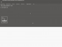 csmvs.in Webseite Vorschau