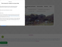 mineralienboersen-termine.de Webseite Vorschau