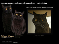 xenya-suawe.ch Webseite Vorschau