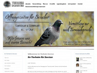 tierheim-dorsten.com Webseite Vorschau