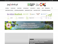 jagodnik.pl Webseite Vorschau