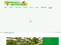 grüneswarenhaus.de Webseite Vorschau