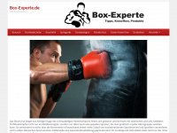 box-experte.de Webseite Vorschau