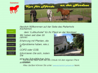 kur-fuer-pferde.de Webseite Vorschau